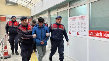 Ormandaki bağ evinde balta ve kazmalı cinayete ilişkin iddianame hazırlandı