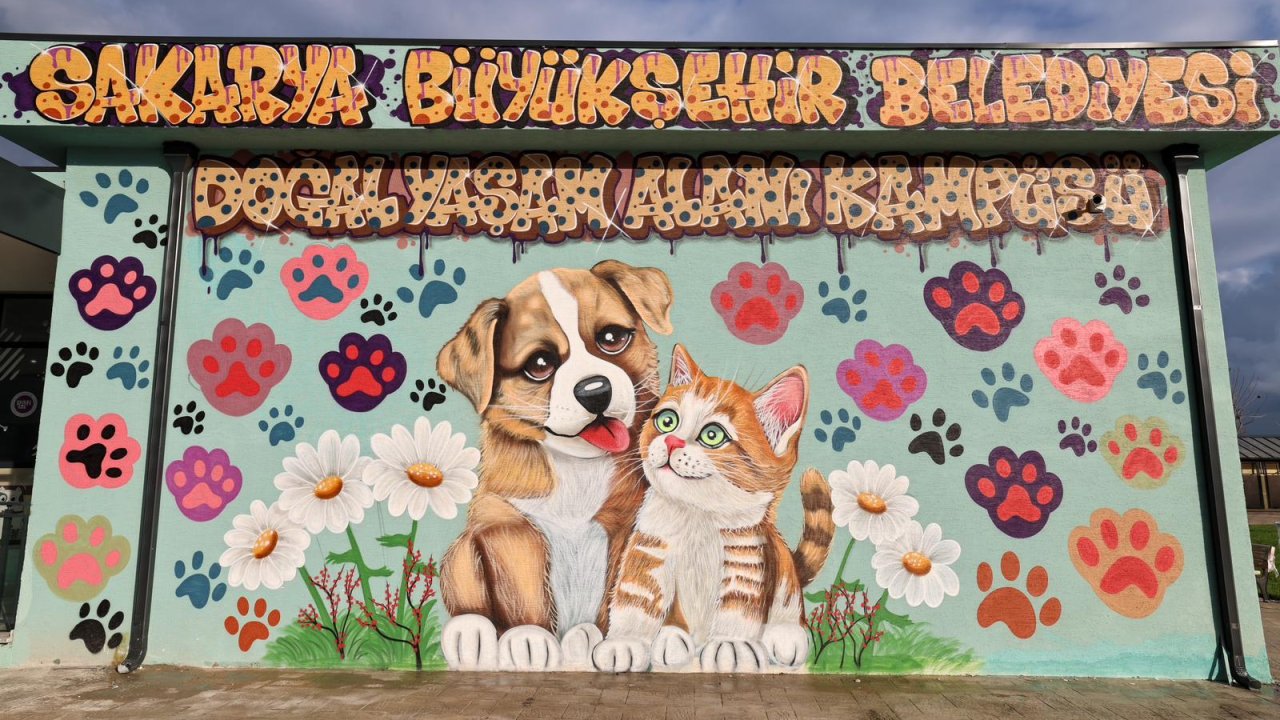 Sakarya’da Sokak Hayvanları Doğal Yaşam Kampüsü açıldı