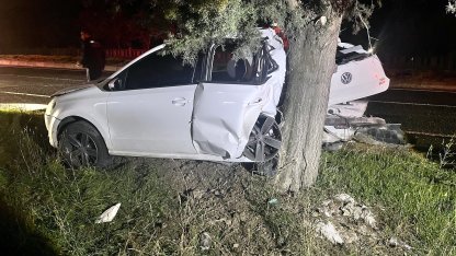 Tekirdağ’da kontrolden çıkan otomobil ağaca çarptı; 1 yaralı