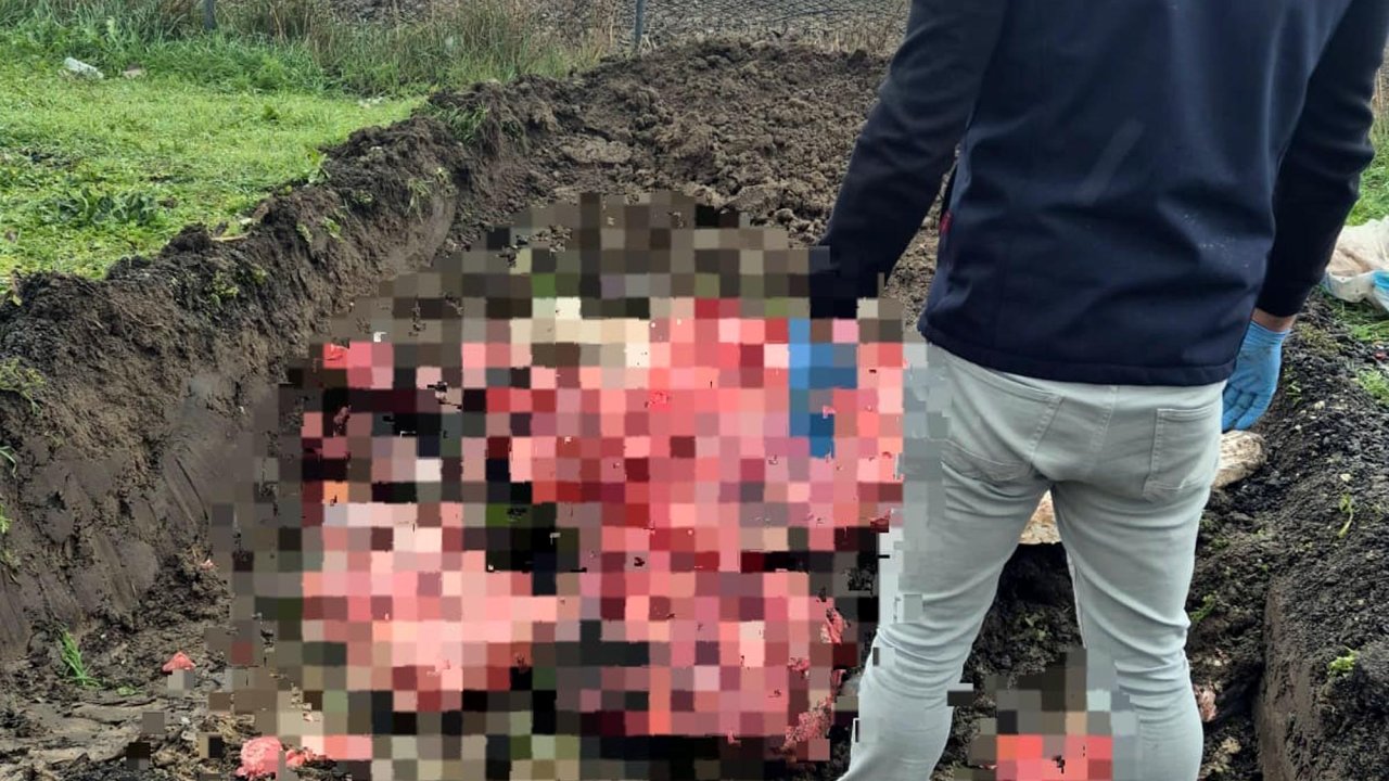 Tekirdağ&#039;da menşei belli olmayan 1 ton hayvansal ürün imha edildi