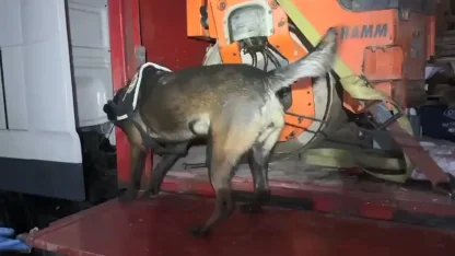 TIR'a yüklü asfalt silindir makinesine gizlenmiş 102 kilo metamfetamin ele geçirildi