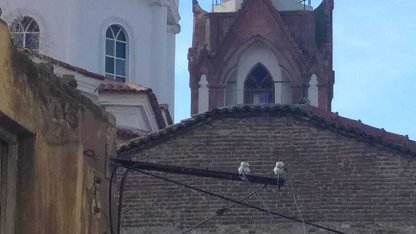 Ayvalık’ta Saatli Camisi’nin saati yerinden düştü