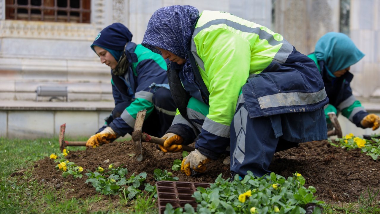 Bursa, kış çiçekleriyle bahar havası yaşıyor