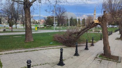 Bursa'da lodos etkili oldu; reklam tabelaları devrildi