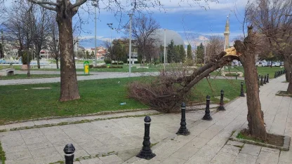 Bursa'da lodos etkili oldu; reklam tabelaları devrildi