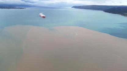 Çanakkale Boğazı'nda denizin rengi kahverengiye döndü