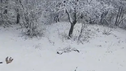Çanakkale'nin yüksek kesimlerinde kar yağışı