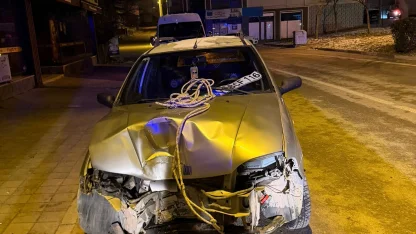 Direğe çarpan otomobliin sürücüsü yaralandı