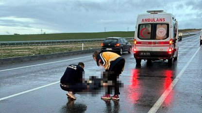 Edirne'de otomobilin çarptığı yaya öldü