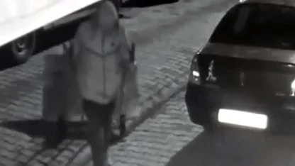 El arabası ile dondurma dolabını çaldı; o anlar kamerada