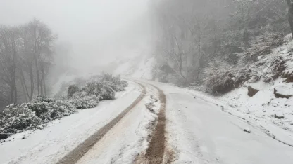 Erdek ilçesinde kar yağışı etkili oldu