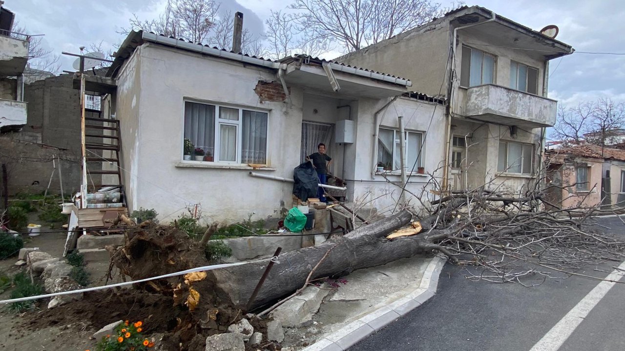 Fırtınada devrilen ağaç evin çatısına zarar verdi