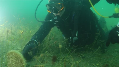 Kocaeli Büyükşehir Belediye Başkanı Büyükakın, Gebze Eskihisar’da dalış yaptı