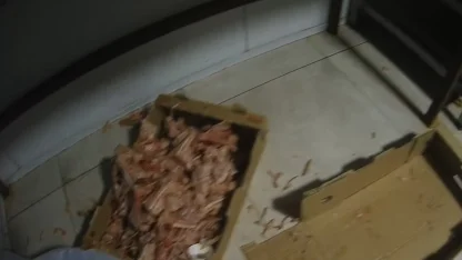 Kocaeli'de ruhsatsız tavuk eti parçalama tesisi mühürlendi