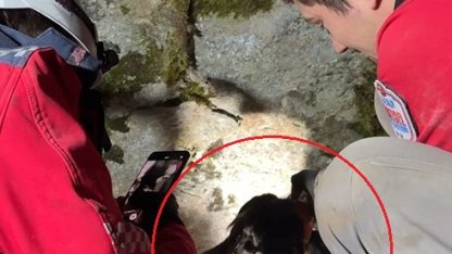 Kovaladıkları çakalın ininde mahsur kalan av köpekleri 7 saatte kurtarıldı