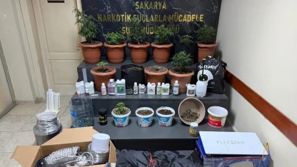 Kurdukları serada Hint keneviri yetiştiren 2 şüpheli gözaltına alındı