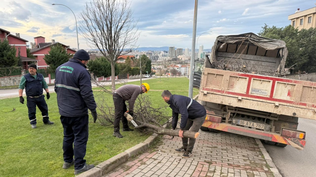 Lodosun devirdiği ağaçlara Osmangazi Belediyesi’nden anında müdahale