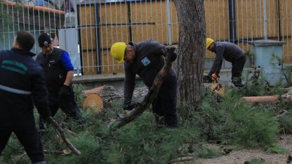 Osmangazi Belediyesi ekipleri teyakkuza geçti