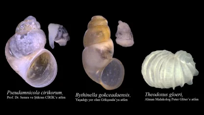 Prof. Dr. Odabaşı, 13 yılda 29 endemik türü literatüre kazandırdı