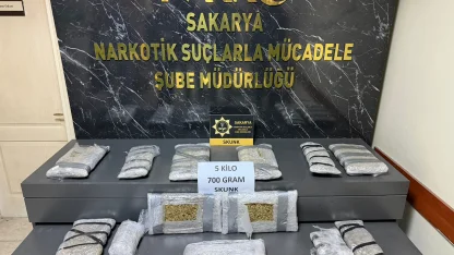 Sakarya'da 5 kilo 700 gram skunk ele geçirildi