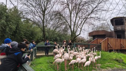 Bursa’da çocuklar için bilim ve doğa odaklı fotoğraf atölyesi