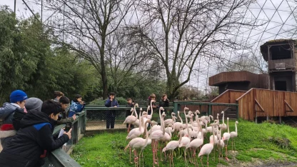 Bursa’da çocuklar için bilim ve doğa odaklı fotoğraf atölyesi