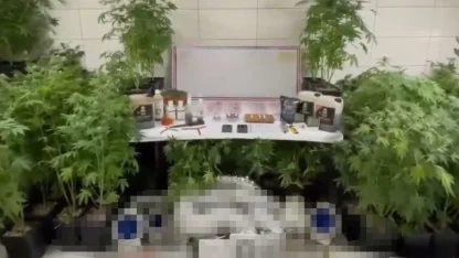 Bursa'da uyuşturucu operasyonu: 1 gözaltı