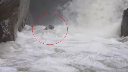 Dağcılar, yağışlar sonrası su seviyesi yükselen dereden geçerken zor anlar yaşadı