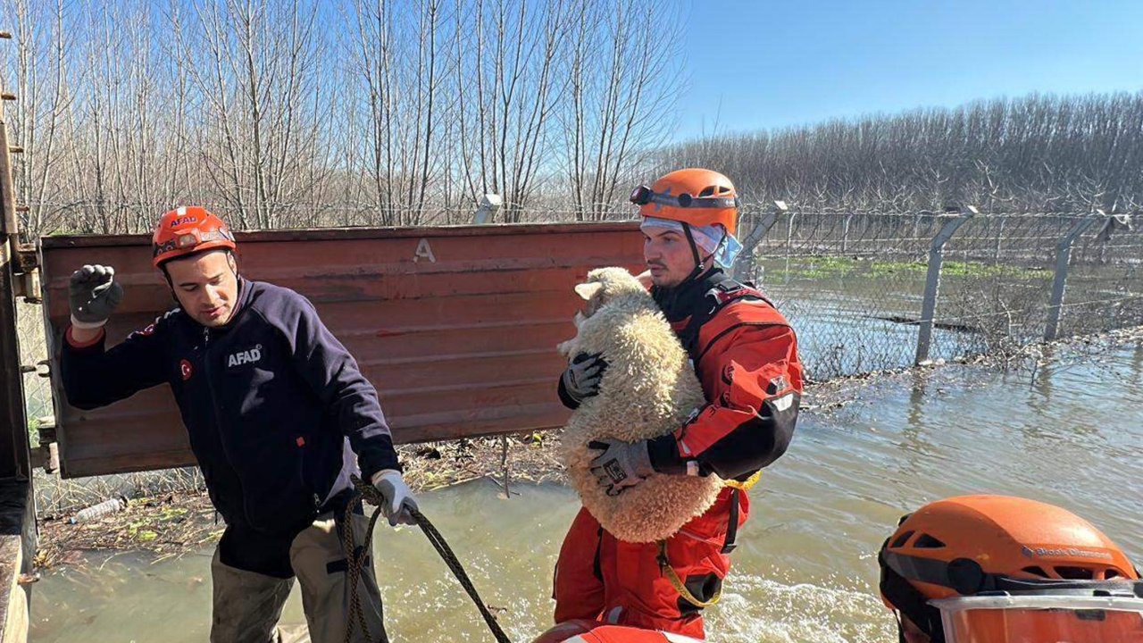 Edirne'de nehirlerin debileri arttı, köprüler trafiğe kapatıldı