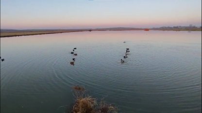 Edirne’de yasa dışı avlanan 4 avcıya 762 bin lira ceza