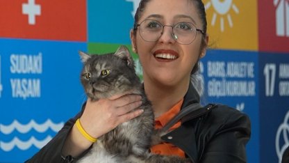 Kedi evleri hazırlayıp, sokak hayvanlarını sahiplendiler