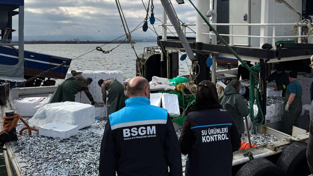 Kırklareli'de avlanan hamsiler denetlendi