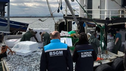 Kırklareli'de avlanan hamsiler denetlendi