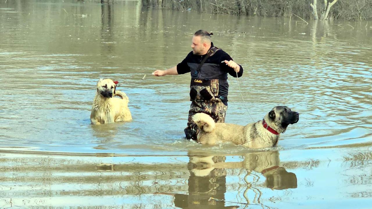 Meriç Nehri'nde su seviyesi arttı; DSİ 'turuncu alarm' uyarısında bulundu