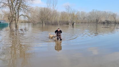 Meriç Nehri'nde su seviyesi arttı; DSİ 'turuncu alarm' uyarısında bulundu