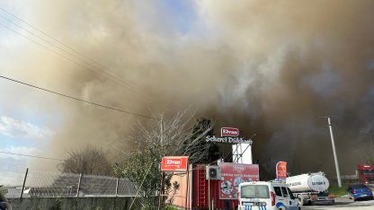 Sakarya'da şekerleme fabrikasında yangın