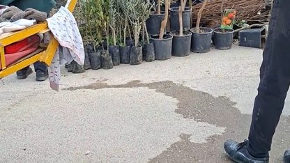 Seyyar satıcılar, kendilerini uyaran zabıtalara bıçakla saldırdı