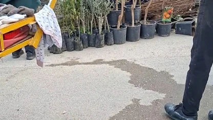 Seyyar satıcılar, kendilerini uyaran zabıtalara bıçakla saldırdı