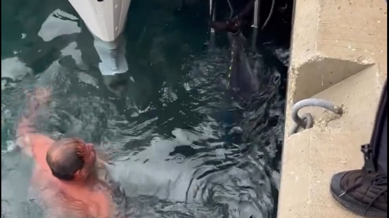 Soğuk havaya aldırış etmeden denize girip kıyıya vuran orkinosu çıkardı