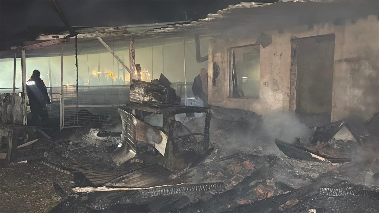 Ergene'de çiftlik yangınında, 120 koyun 100 kuzu öldü