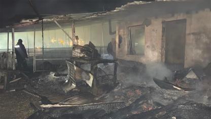 Ergene'de çiftlik yangınında, 60 küçükbaş öldü