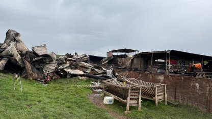 Tekirdağ'da çiftlik yangınında ölen küçükbaş sayısı 230'a yükseldi
