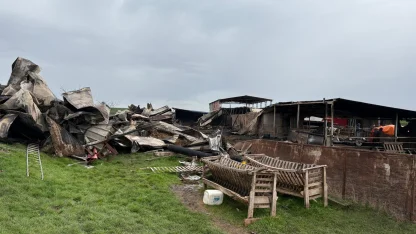 Tekirdağ'da çiftlik yangınında ölen küçükbaş sayısı 230'a yükseldi