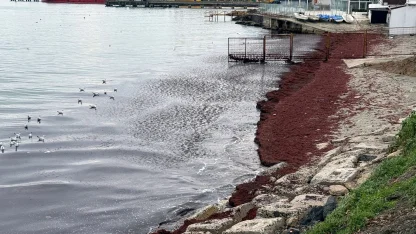 Tekirdağ'da deniz kıyıları kırmızı renge büründü