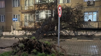 Tekirdağ'da fırtına; çatılar uçtu, ağaçlar devrildi / Ek fotoğraflar