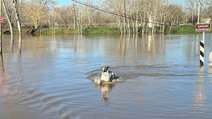 Tunca Nehri'nde 'kırmızı alarm' verildi; Kırkpınar Er Meydanı su altında kaldı/Ek fotoğraflar