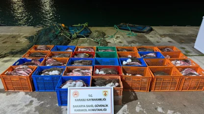 Ülkeye kaçak getirilen 300 kalkan balığı ele geçirildi