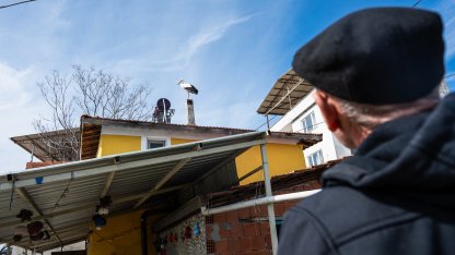 Yaren leyleğin eşi Nazlı geldi