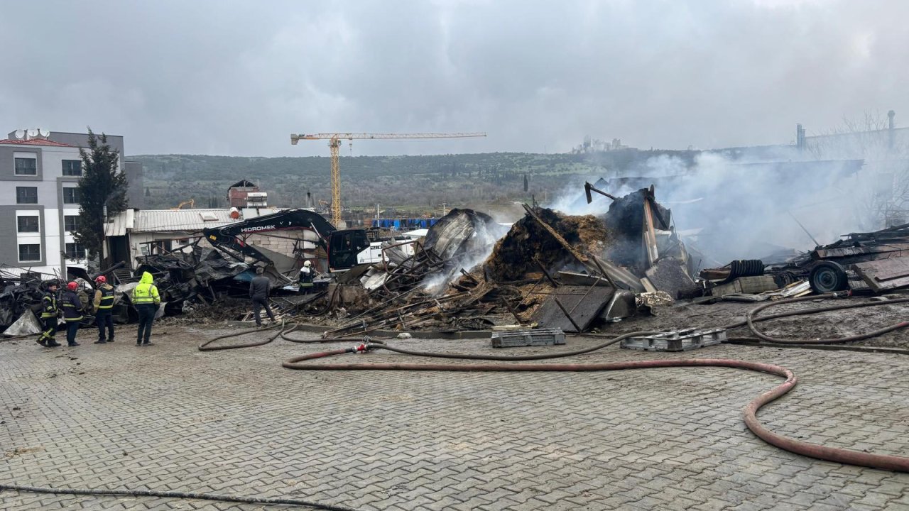 Ahır yangınında çok sayıda hayvan öldü