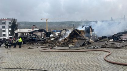 Ahır yangınında çok sayıda hayvan öldü